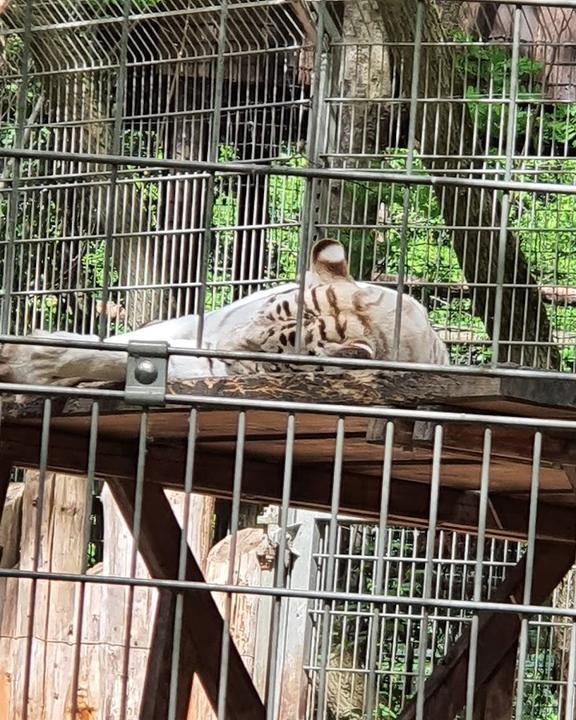 Café Manege im Tierpark Nadermann